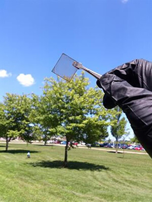 Thin, efficient solar cells